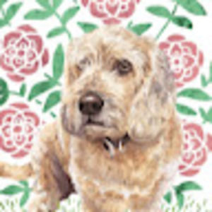 Meet your Posher, Hilary